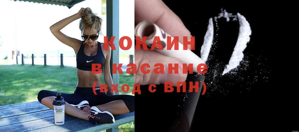 PSILOCYBIN Михайлов