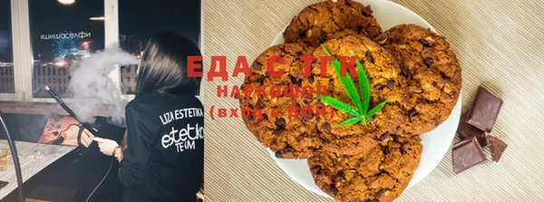 PSILOCYBIN Михайлов