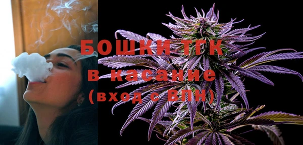 сатива Михайловка