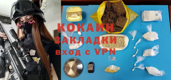 PSILOCYBIN Михайлов