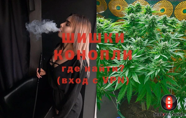 PSILOCYBIN Михайлов