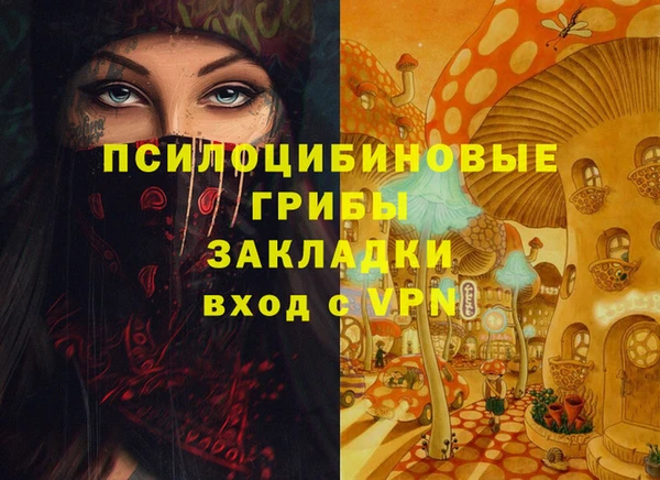 PSILOCYBIN Михайлов