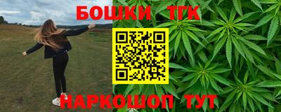 индика Балашиха