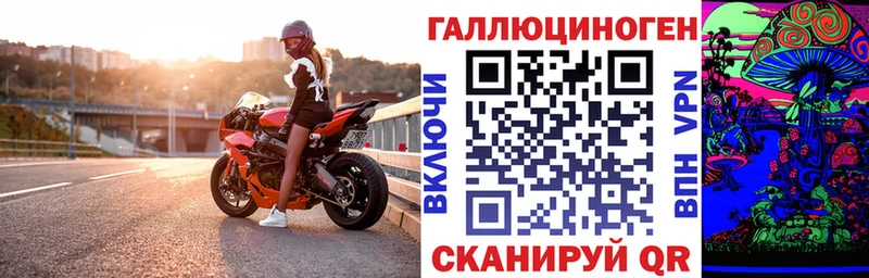 Псилоцибиновые грибы Psilocybe Ногинск